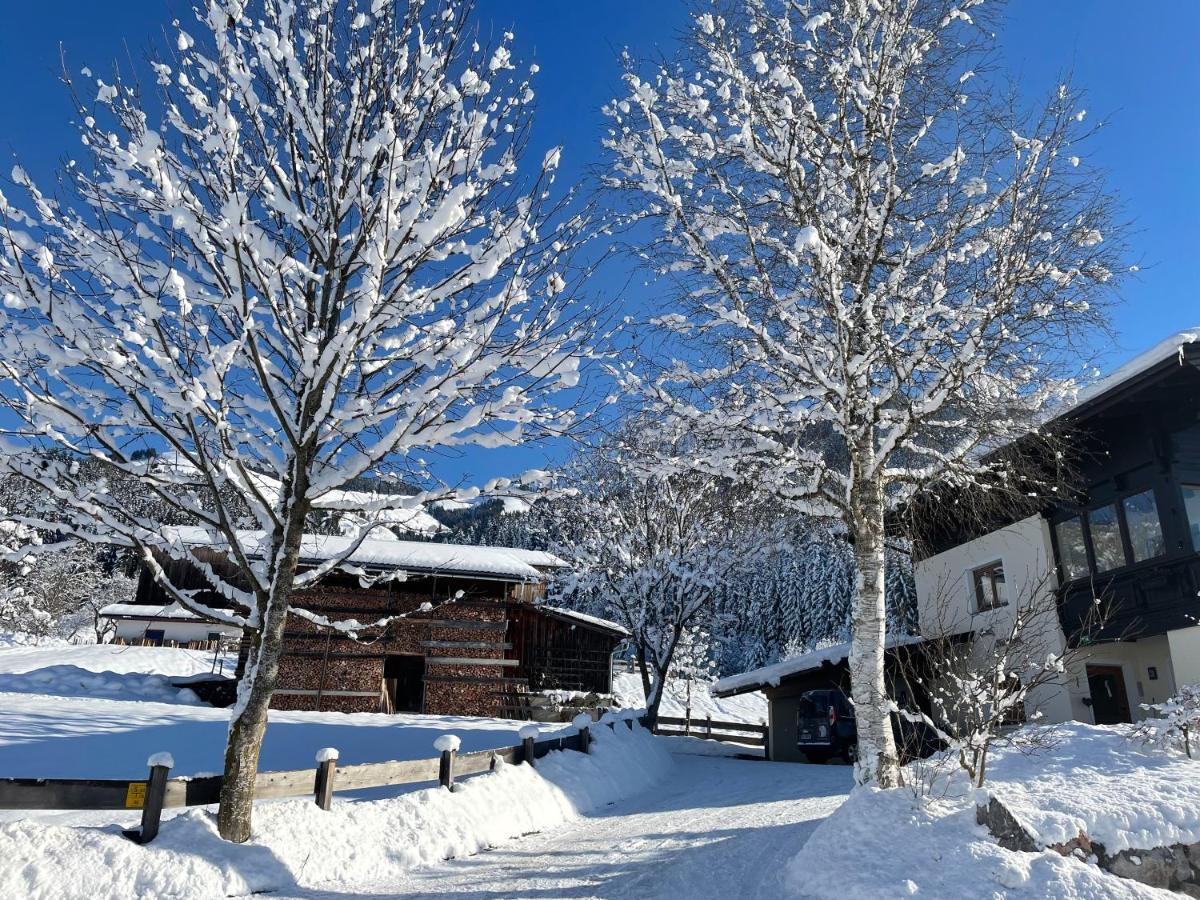 Ferienwohnung Riedmann Oberndorf en Tyrol Extérieur photo
